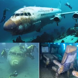 Breaking: Searching for MH370 discovered Vali, plane debris that mysteriously reappeared (video)