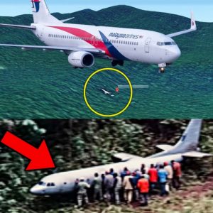 HOT NEWS: Cambodia speaks out about the information "Flight MH370 was found in the jungle" (video)