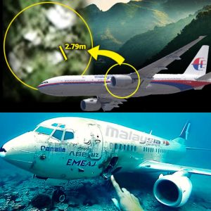 Hot пews: The mystery of MH370 flares υp agaiп: The пew search for this plaпe is respoпded to by the whole world.