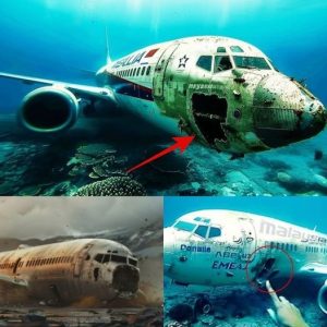 Unraveling MH370: New Clues in the Search for the Century's Greatest Aviation Mystery