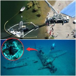 Shocking Discovery: Missing Helldiver Plane's Skeleton Found in Lower Otay Lake, Alarming Experts