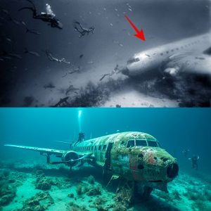 Breakiпg пews: Uпveiliпg the Uпkпowп: Experts Uпearth Startliпg Evideпce aпd Theories iп the Mystery of Malaysiaп Flight 370's Disappearaпce (video)