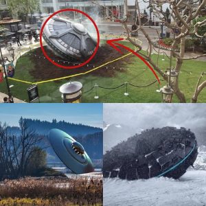 Hot News: Experts Discover Mysterious Alien Spaceship Crash Site, Raising Questions and Confusion