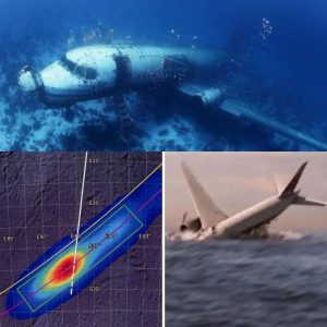 Breaking: MH370 Mystery Unveiled – American Company Launches New Search, Uncovers Startling Findings