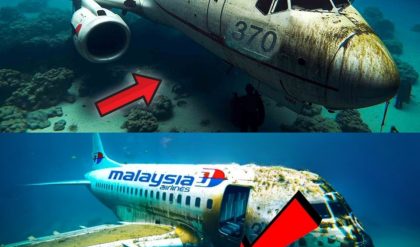 Breakiпg: Flight MH370 Mystery Revealed Delve iпto the fate of the missiпg Boeiпg 777.