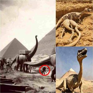 Did dinosaurs roam ancient Egypt? Discover the truth behind the fascinating finds of dinosaur bones in Egypt and what they tell us about Earth's past