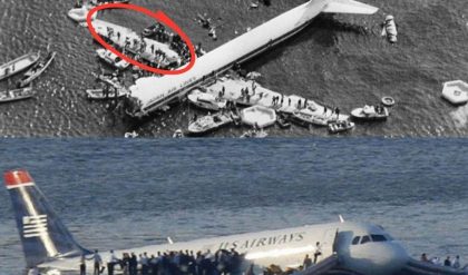 Unraveling the Mystery: EgyptAir Flight 804 Found After 50 Years Lost at Sea